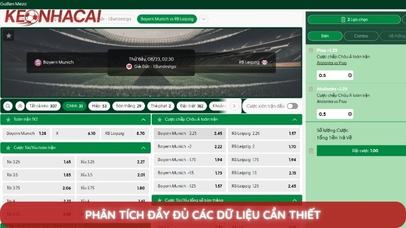 Phân tích đầy đủ các dữ liệu cần thiết