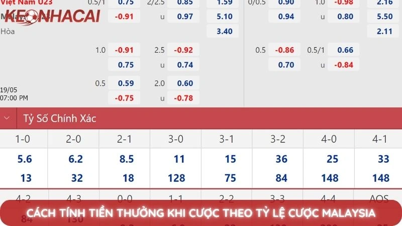 Cách tính tiền thưởng khi cược theo tỷ lệ cược Malaysia