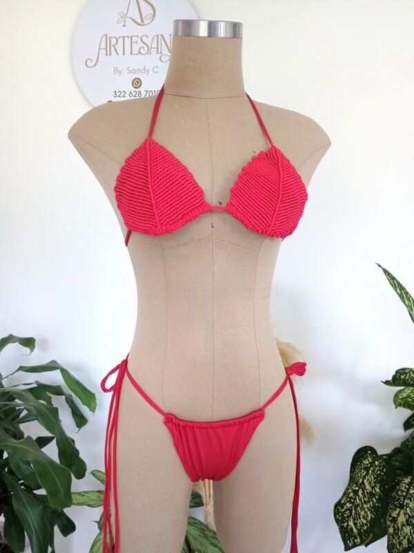 Taller en linea Bikini Concha